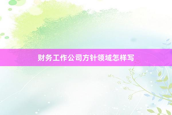 财务工作公司方针领域怎样写
