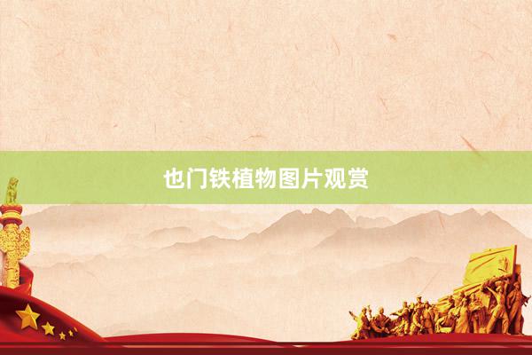 也门铁植物图片观赏